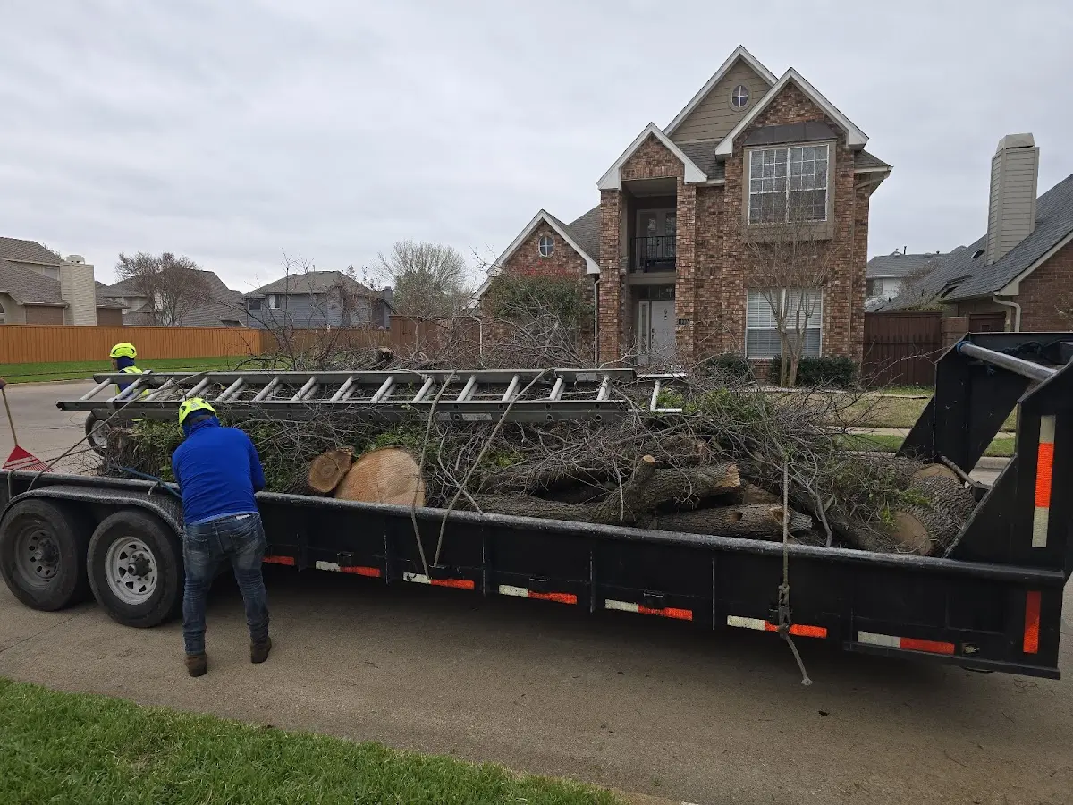 Expert Lot Clearing with proper safety equipment in Harvey